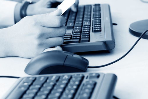 計算機專業(yè)在校大學(xué)生如何通過計算機系統(tǒng)服務(wù)提升競爭力